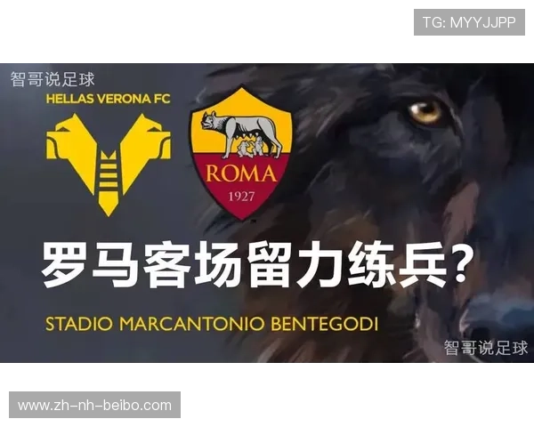 加入意甲需要多少钱?球队加盟费用与审核标准